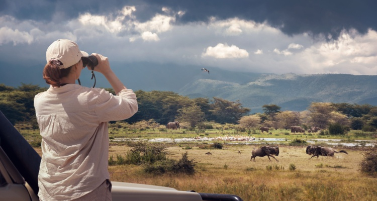 Classic Kenya