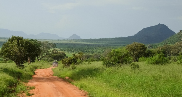 Tour Tsavo da Mombasa con Mini Van