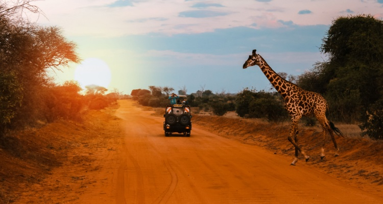 MiniTour Tsavo “4X4” da Mombasa