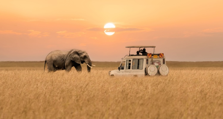 Best of Kenya