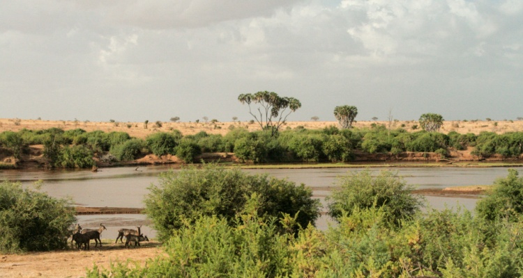 MiniTour Tsavo “4X4” da Mombasa