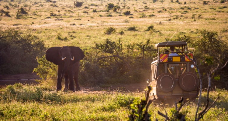 MiniTour Tsavo “4X4” da Mombasa
