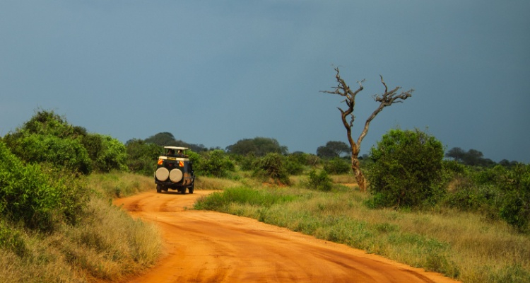 MiniTour Tsavo “4X4” da Mombasa