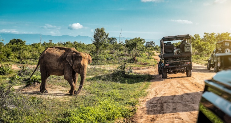 Tour Kenya di Gruppo