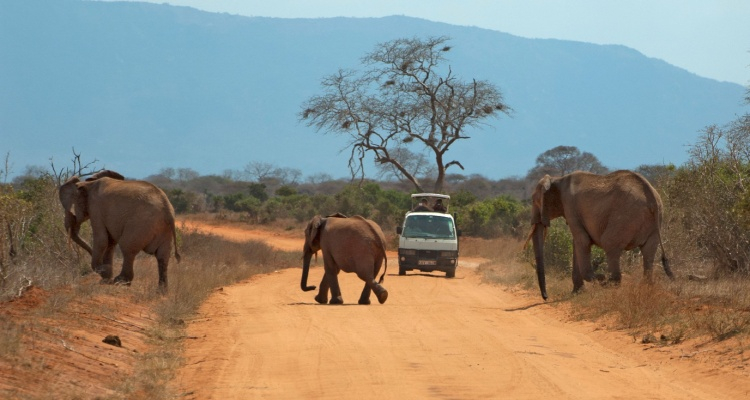 Tour Tsavo MIX da Mombasa con 4x4