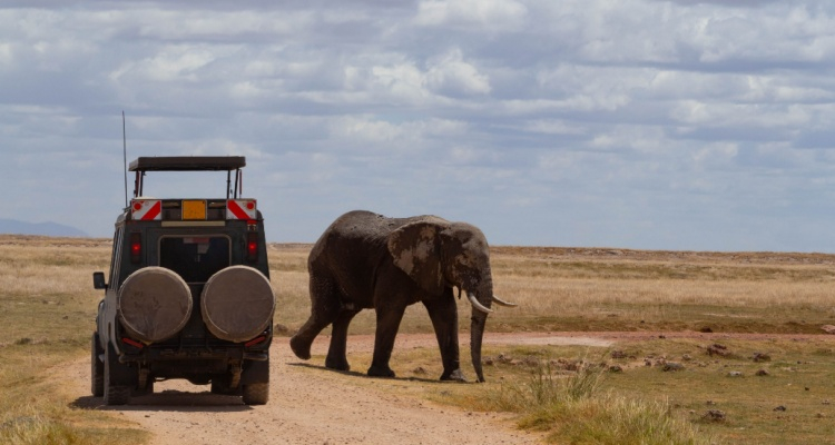 Amboseli & Tsavo con 4x4