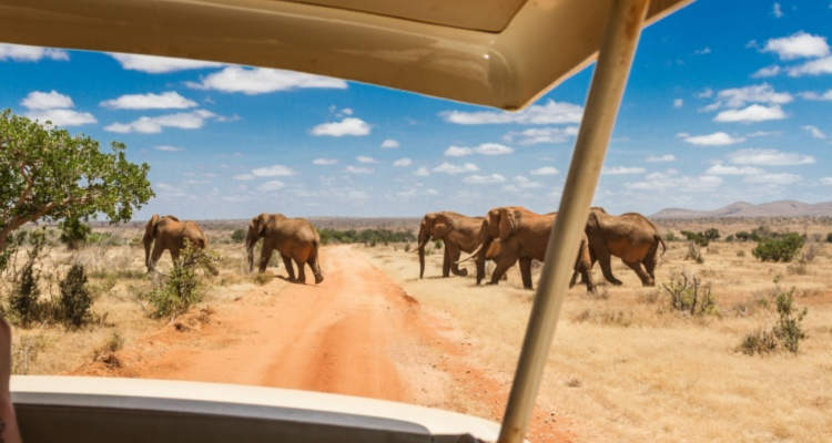 Tour Tsavo MIX da Mombasa con Mini Van