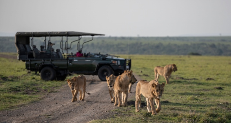 Masai Mara