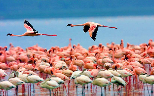 Kenya