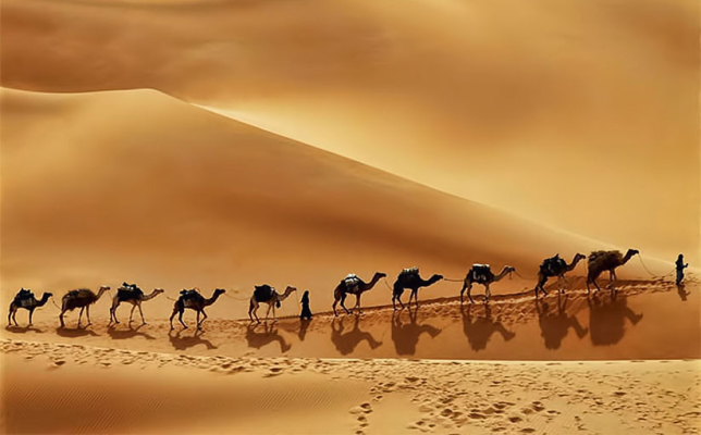 Arabia Saudita