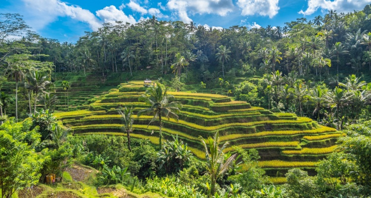 Tour Java Classico & Bali Serenity