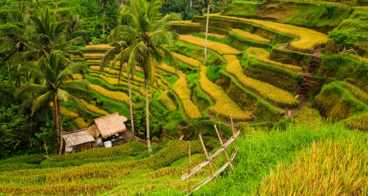 Tour Java Classico & Bali Round Trip
