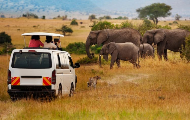 Safari Amboseli e Tsavo: 5 Giorni tra Elefanti e Big Five