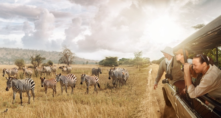 Best of Tanzania