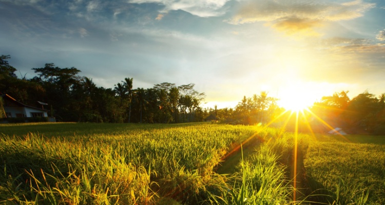 Bali Round Trip