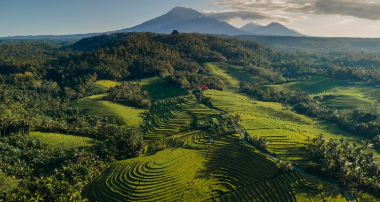 Tour Java Classico & Bali Serenity