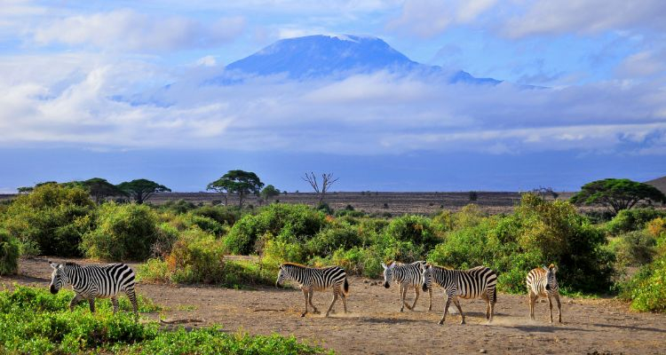 Discover Kenya