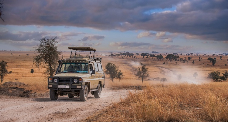Discover Tanzania