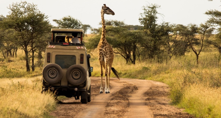 Tour dal Lake Manyara al Serengeti