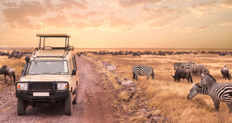 Best of Tanzania